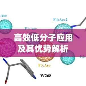 高效低分子应用及其优势解析
