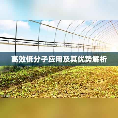 高效低分子应用及其优势解析