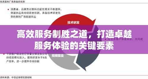 高效服务制胜之道,打造卓越服务体验的关键要素
