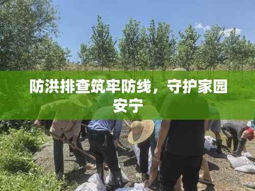 防洪排查筑牢防线,守护家园安宁