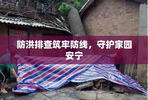 防洪排查筑牢防线,守护家园安宁