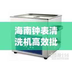 海南钟表清洗机高效批发，专业解决方案引领清洗行业新潮流