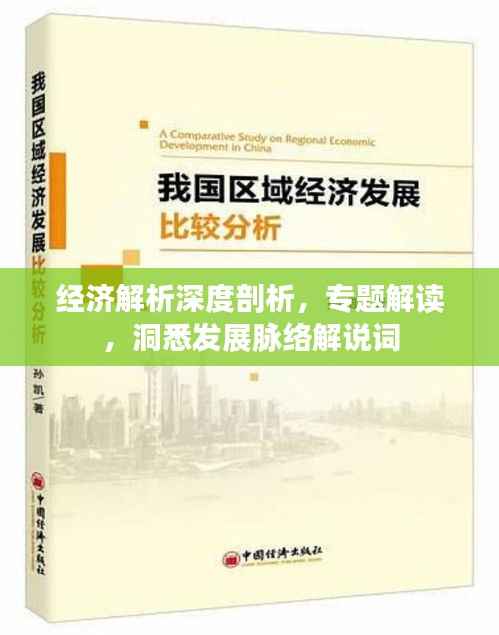 经济解析深度剖析,专题解读,洞悉发展脉络解说词