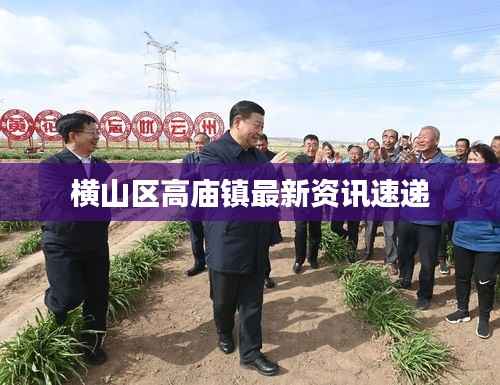 横山区高庙镇最新资讯速递