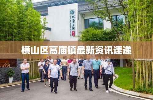 横山区高庙镇最新资讯速递