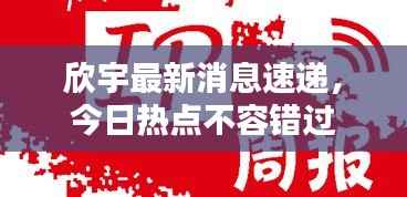 欣宇最新消息速递,今日热点不容错过