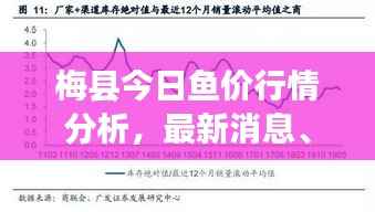 梅县今日鱼价行情分析,最新消息、市场走势与影响因素全解析