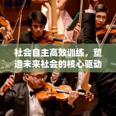 社会自主高效训练,塑造未来社会的核心驱动力
