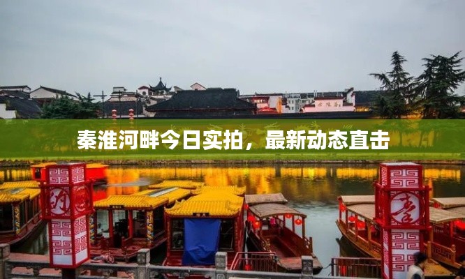 秦淮河畔今日实拍,最新动态直击