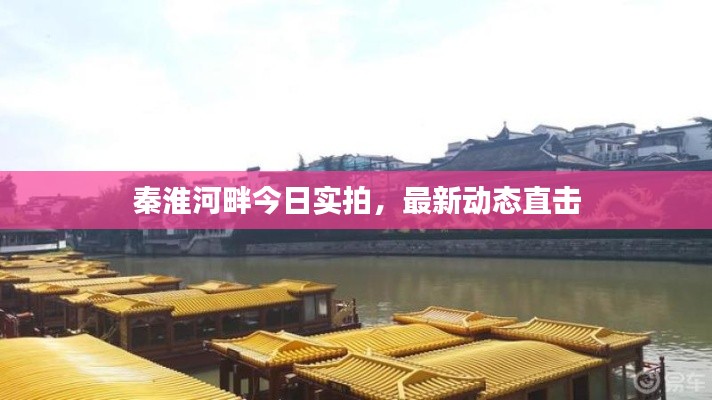 秦淮河畔今日实拍,最新动态直击