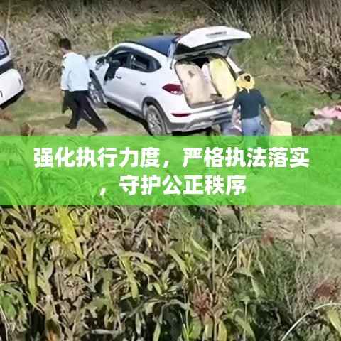 强化执行力度,严格执法落实,守护公正秩序
