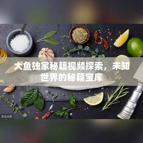 大鱼独家秘籍视频探索,未知世界的秘籍宝库