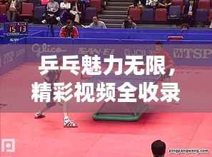 乒乓魅力无限,精彩视频全收录,尽在百度乒乓盛宴
