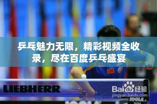 乒乓魅力无限,精彩视频全收录,尽在百度乒乓盛宴