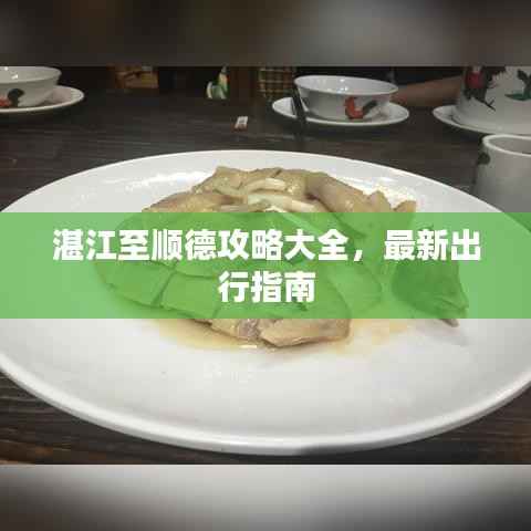 湛江至顺德攻略大全,最新出行指南