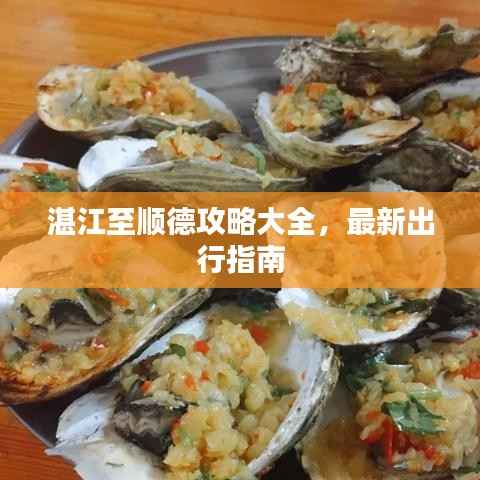 湛江至顺德攻略大全,最新出行指南