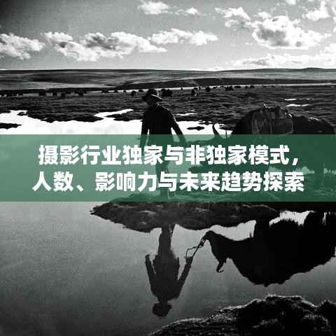 摄影行业独家与非独家模式，人数、影响力与未来趋势探索