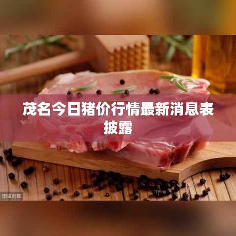 茂名今日猪价行情最新消息表披露