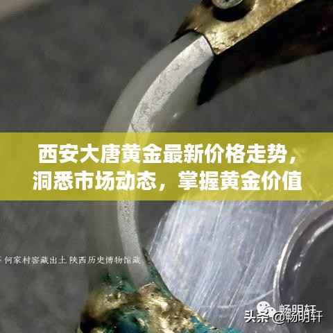 西安大唐黄金最新价格走势,洞悉市场动态,掌握黄金价值!