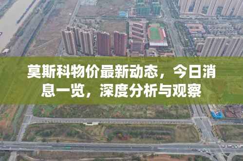 无冬无夏 第4页