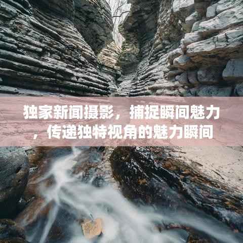 独家新闻摄影，捕捉瞬间魅力，传递独特视角的魅力瞬间