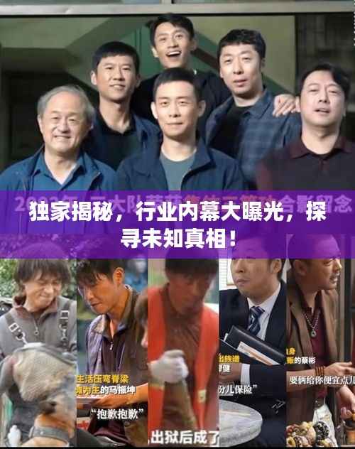 独家揭秘,行业内幕大曝光,探寻未知真相!
