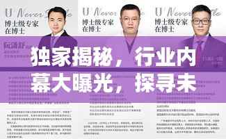 独家揭秘,行业内幕大曝光,探寻未知真相!