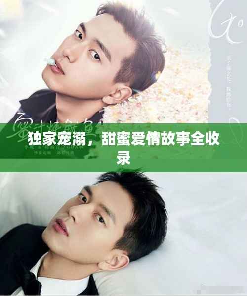 独家宠溺,甜蜜爱情故事全收录