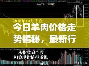 今日羊肉价格走势揭秘，最新行情分析与市场趋势预测