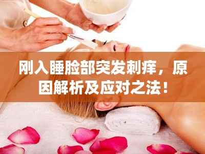 刚入睡脸部突发刺痒,原因解析及应对之法!