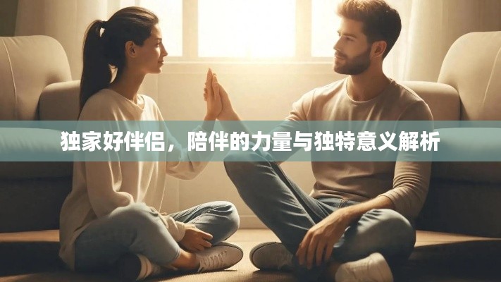 独家好伴侣，陪伴的力量与独特意义解析