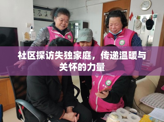 社区探访失独家庭,传递温暖与关怀的力量