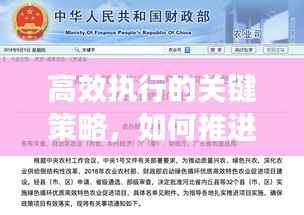 高效执行的关键策略,如何推进快速落实?