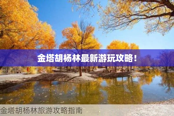 金塔胡杨林最新游玩攻略!