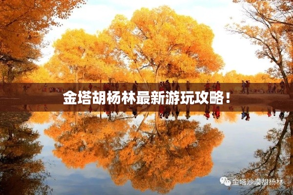金塔胡杨林最新游玩攻略!