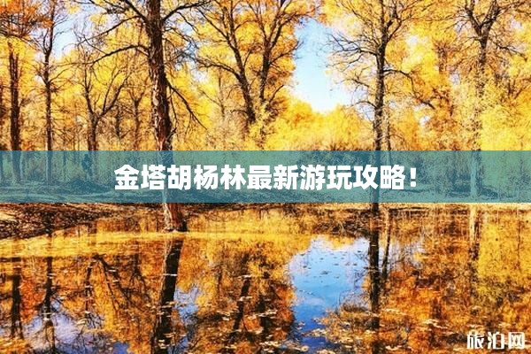 金塔胡杨林最新游玩攻略!