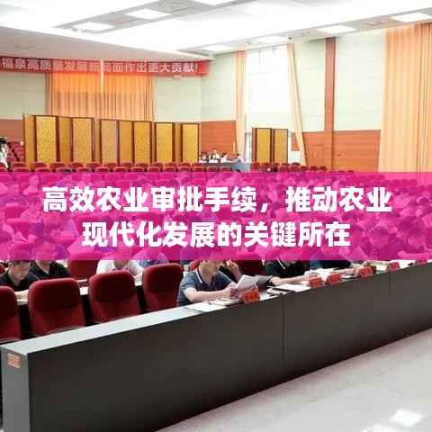 高效农业审批手续,推动农业现代化发展的关键所在