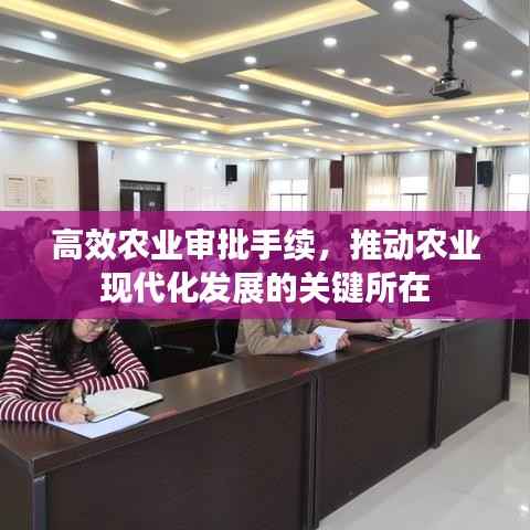 高效农业审批手续,推动农业现代化发展的关键所在