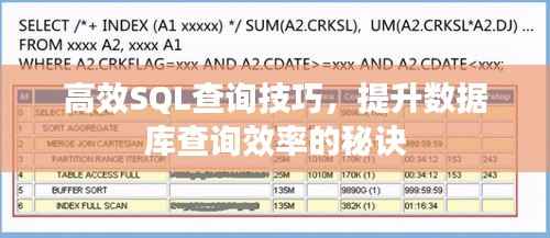 高效SQL查询技巧，提升数据库查询效率的秘诀