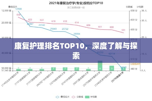 康复护理排名TOP10,深度了解与探索