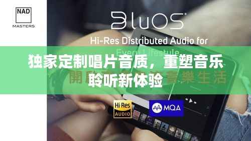 独家定制唱片音质,重塑音乐聆听新体验