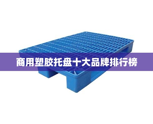 纲挈目张 第4页