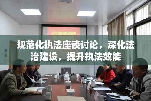 规范化执法座谈讨论,深化法治建设,提升执法效能
