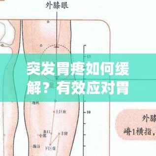 突发胃疼如何缓解？有效应对胃痛的妙招！