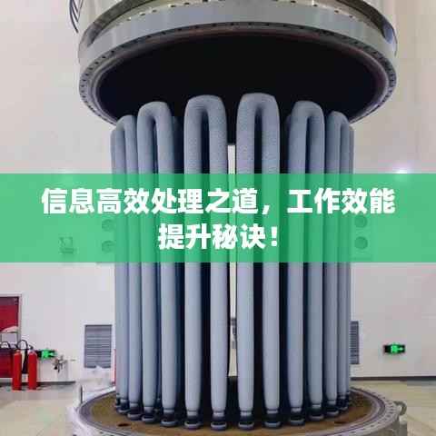 信息高效处理之道,工作效能提升秘诀!