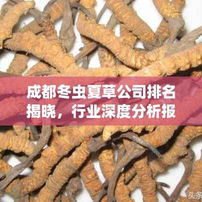 成都冬虫夏草公司排名揭晓,行业深度分析报告