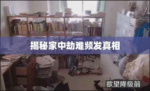 衣无二彩 第3页