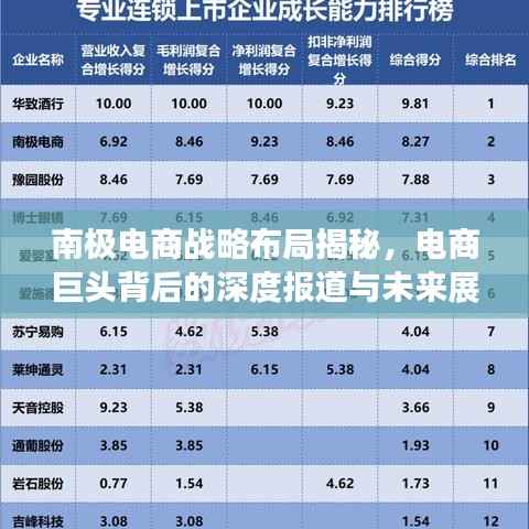 南极电商战略布局揭秘,电商巨头背后的深度报道与未来展望