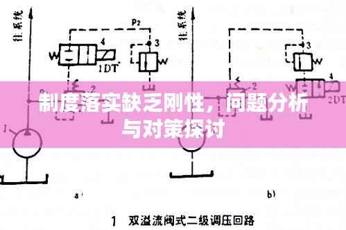 制度落实缺乏刚性,问题分析与对策探讨