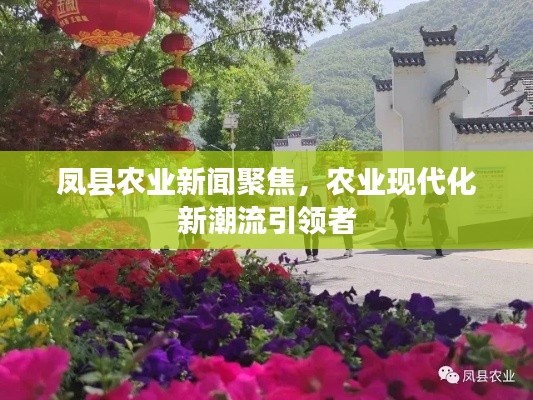 凤县农业新闻聚焦,农业现代化新潮流引领者